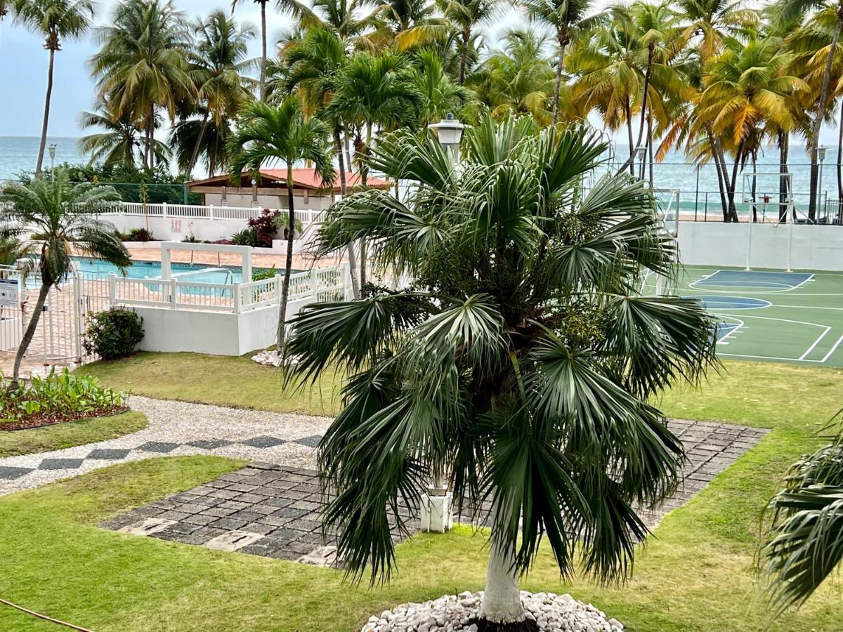 Hobie Oceanfront Apartment At Isla Verde San Juan Kültér fotó